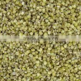 Green Millet Organic thumbnail-1