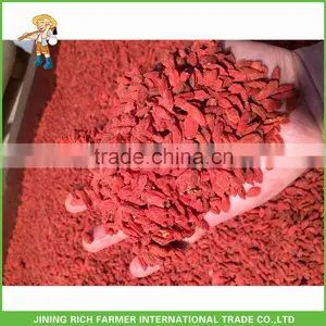 Top Quality Ningxia Dried Goji Berry 180Grains/50G thumbnail-1