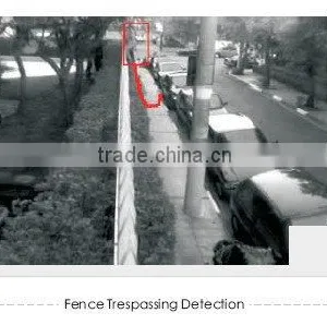 Wall Climbing and Fence Trespassing Video Analysis Sever thumbnail-1