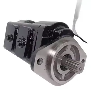 Hydraulic Gear Pump HPLPA114DDDG3G3B00 HPLPA114 HPLPA131 HPLPA148 HPLPA180 Series HPLPA114DDDG3G3B0 High Pressure thumbnail-2