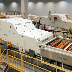 REEMOON Orange Intelligent Sorting and Grading Solution, Oranges Sorter Machine, Grading Equipment thumbnail-5