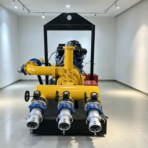 Strong Self-priming Pump thumbnail-4