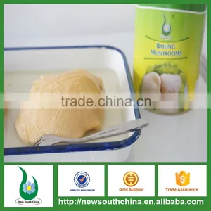Best White Bailing Mushroom for Sale thumbnail-1