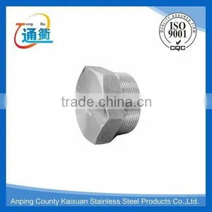 Casting Male Stainless Steel Hexagon Head Screw Plug thumbnail-3