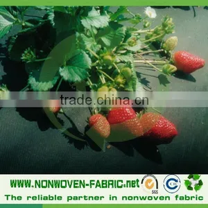 Agriculture pp Spunbond Nonwoven Fabric /agriculture Ground Cover for Plant,flower,fruit Protection thumbnail-2