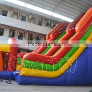 Giant Inflatable Water Slide Decal Paper Ball Bearing Slide for Adult thumbnail-1