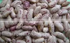 Best Price New Crop Light Speckled Kidney Beans With Good Quality thumbnail-3