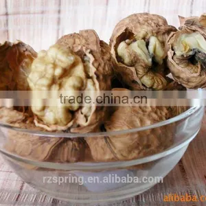 Thin Shell Walnut thumbnail-2