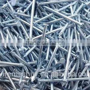 Price of Common Nail /Common Iron Wire Nail thumbnail-1