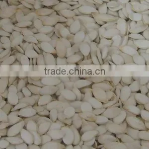 GWS Snow White Pumpkin Seeds Shine Skin Pumpkin Seeds Best Pumpkin Seeds Recipe thumbnail-3