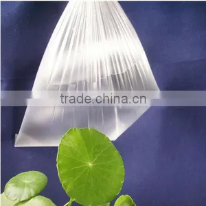 Transparent Food Packaging PLA Bags thumbnail-2