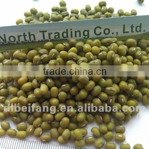 New Crop Green Mung Bean( Sprouting Type, 2012 Crop, Jilin Origin, Hps) thumbnail-1