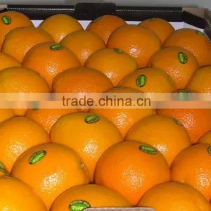 Fresh Valencia Orange thumbnail-2