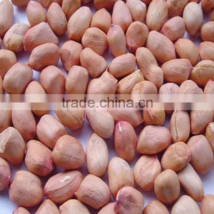 2016 VSEE Newest Stainless Steel Peanut Kernel CCD Belt Color Sorter For Sale thumbnail-1