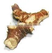 Galangal Roots thumbnail-1