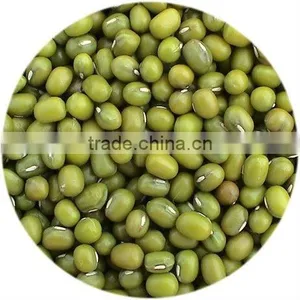 Supply Dry Green Mung Bean 3.2-3.6mm thumbnail-1