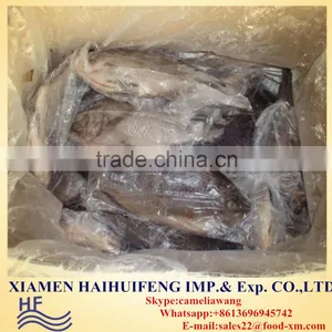 200-300G Fresh Frozen Gutted And Scaled Gilled Fin-off Tai off Tilapia thumbnail-1