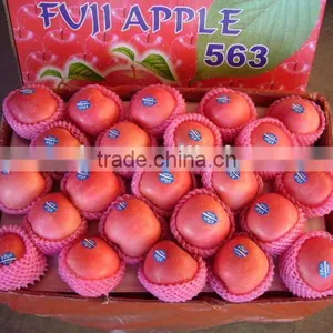 China Fresh Fruit thumbnail-1