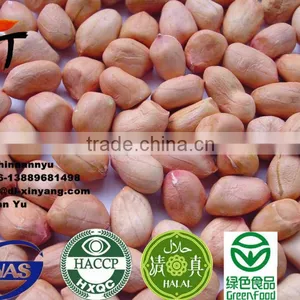 High Quality Red Skin Peanut ,peanuts thumbnail-4