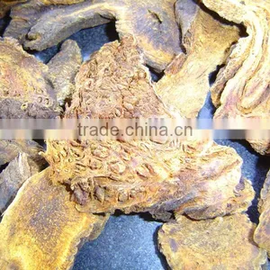 Rhizoma Rhei Root thumbnail-1