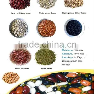 Kidney Beans thumbnail-1