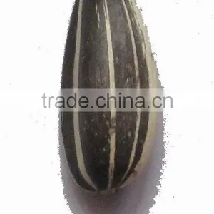 Chinese New Crop Sunflower Seeds thumbnail-1