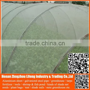 China Factory Hdpe Vegetable Insect Net , Nylon Fruit Anti Insect Net , Plastic Agricultural Greenhouse Anti Insect Proof Net thumbnail-4
