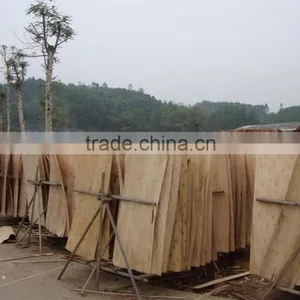 STANDARD QUALITY SHORT CORE VENEER FOR KOREA MARKET thumbnail-1
