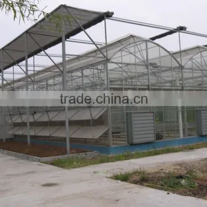 Gutter Height Commercial Polycarbonate Greenhouse for Used thumbnail-1