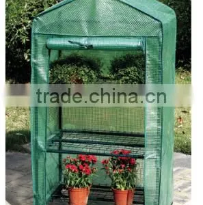 Greenhouse Mini / Greenhouse Planting / Greenhouse Plants thumbnail-1