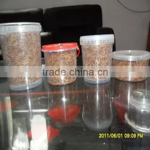 Feed For Bird & Fish Freeze Dried Mealworms;yellow Mealworms thumbnail-6