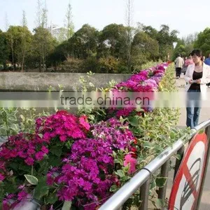 Eco-friendly Cheap Flower Pots Recyclable Plastic Planters Hanging Planters thumbnail-5