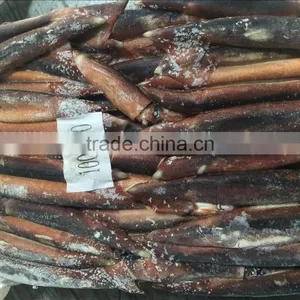 Frozen Illex Squid Whole Round thumbnail-3