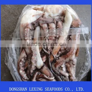 Frozen Giant Squid Tentacles thumbnail-2
