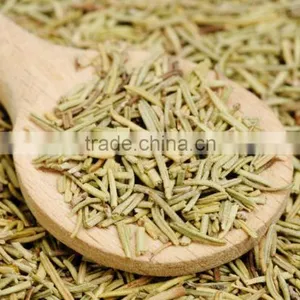 Rosemary Leaf thumbnail-1