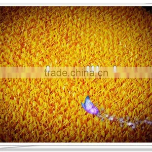 Artificial Grass thumbnail-1