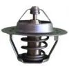 Turkey Thermostats thumbnail-1
