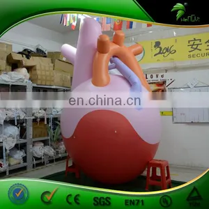 Vivid Giant Inflatable Human Heart , Advertising Inflatable Body Organs , Inflatable Hanging Balloon thumbnail-3