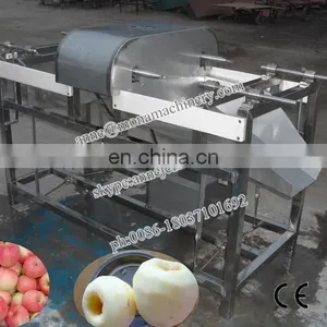0086-18037101692 Fruit Peeling Machine_fruit Skin Remover_fruit and Vegetable Peeling Machine thumbnail-6