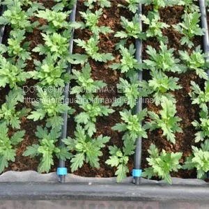Drip Irrigation Tape for Agricultural Farm Irrigation Drip Irrigation System thumbnail-1