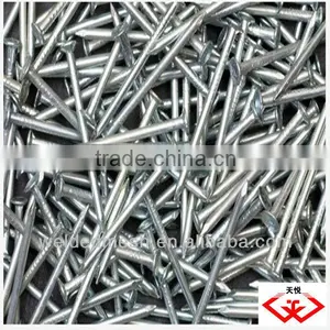 Hot Sale Kinds of Common Nails thumbnail-1