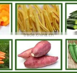 CE Certificate Fruit Chips Vegetable Vacuum Fryer thumbnail-4