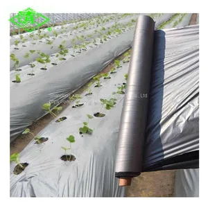 Factory Direct Sales of Silver Shine Plastic Mulch Films thumbnail-1