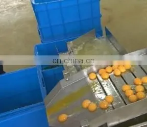 Yolk Drying Machine Washing Machine and Breaking Machine thumbnail-3