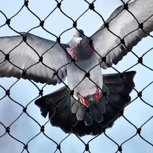 Anti Bird Net 38mm Poultry Game Pheasant 1.5