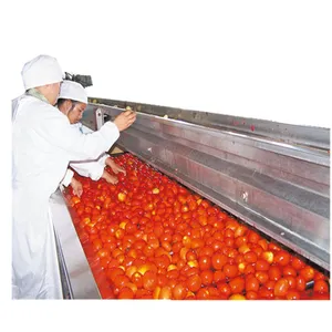 Fully Automatic Tomato Ketchup Production Line thumbnail-1