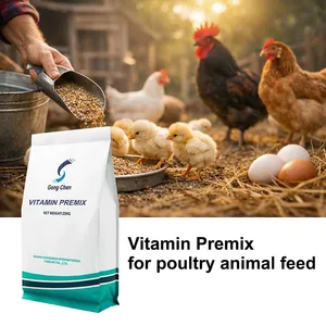 Wuhan Gongchen Vitamin Premix thumbnail-4