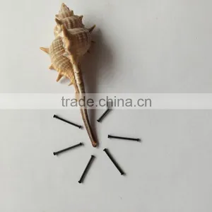 Plastic Exceeding Slim Lead Piece Seat Crap Fishing Fishing Tackle thumbnail-3