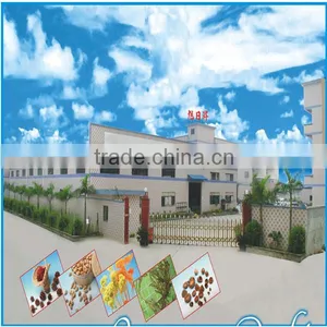 Dongguan Goflora Arts&Crafts Co., Ltd. company overview - view 1 thumbnail