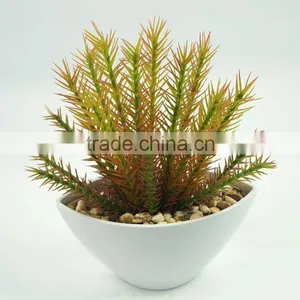 Wholesale Cheap Artificial Succulent Plants for Home Decoration thumbnail-1